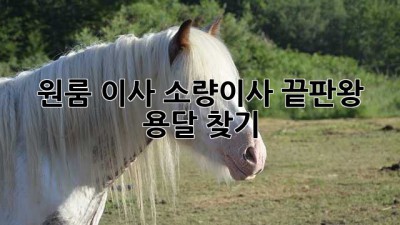 원룸 이사? 소량이사 끝판왕 용달 찾기!