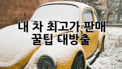 내 차 최고가 판매?! 꿀팁 대방출 🚗💰